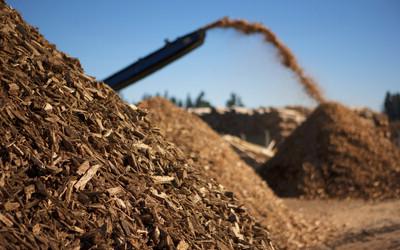 What is Biomass Energy?  